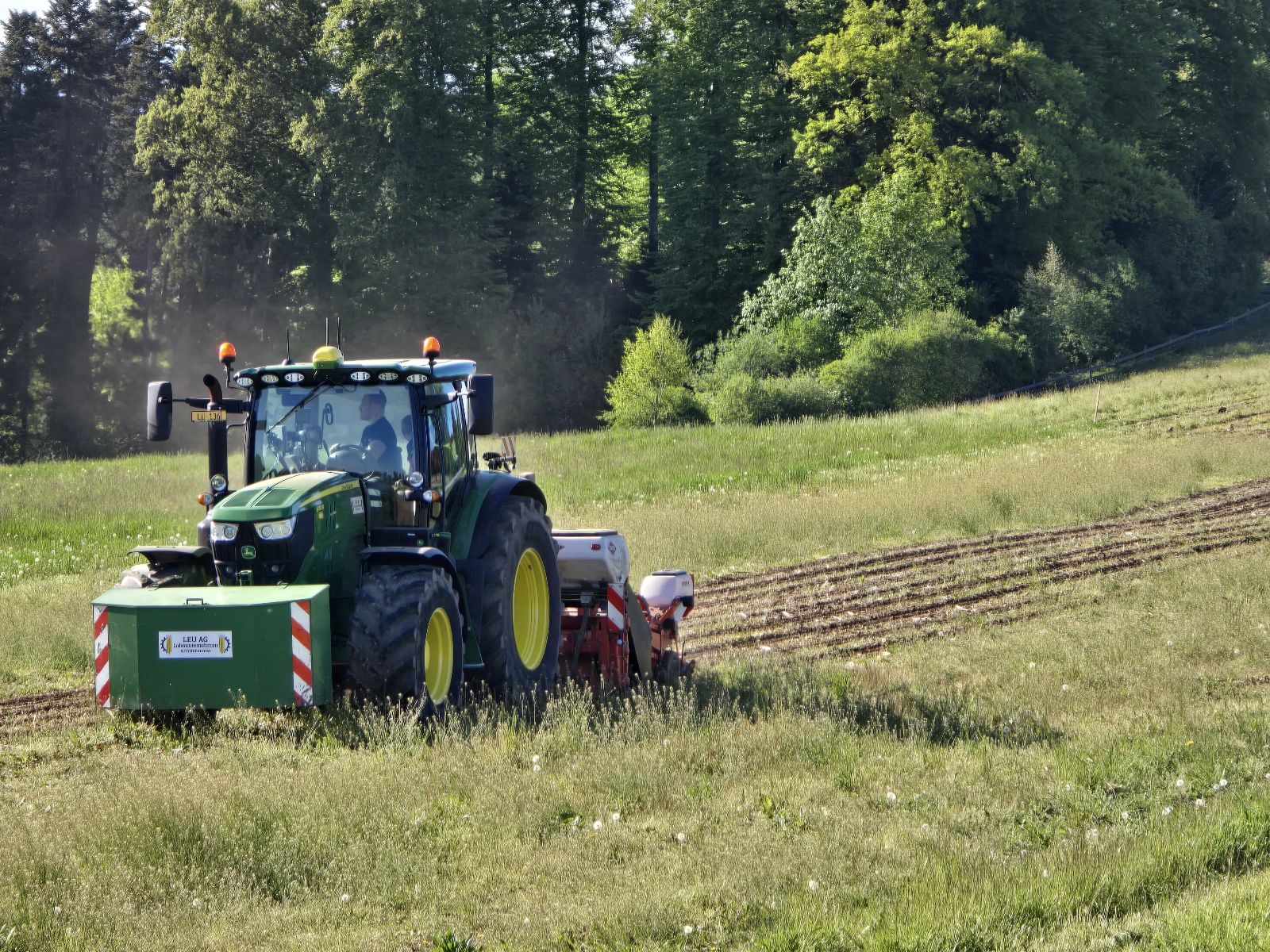 GFGT8075.JPG